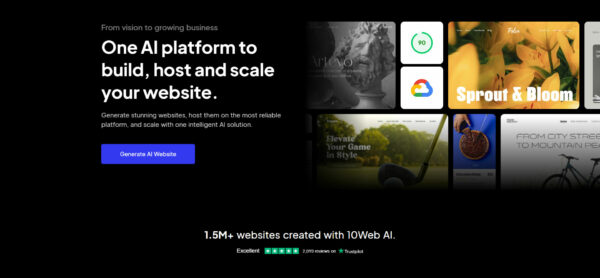 10web_webscreenshot