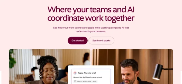 Asana_webscreenshot